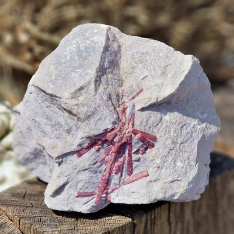 Tourmaline rose - lépidolite