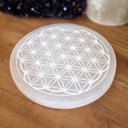 Fleur de Vie en Sélénite - 15 cm