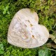 Agate crazy lace - coeur