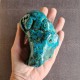 chrysocolle