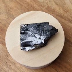Shungite Élite - Shungite Argentée