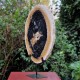 Bois fossile - tranche sur pied