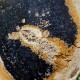 Bois fossile - tranche sur pied