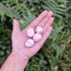 Rhodonite