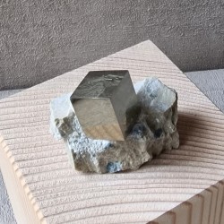 Pyrite sur matrice