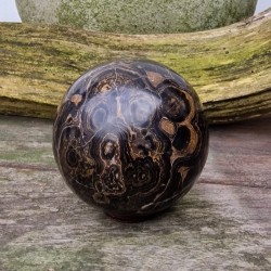Stromatolite - sphère