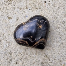 Stromatolite - coeur