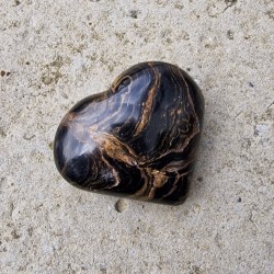 Stromatolite - coeur
