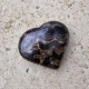Stromatolite - coeur