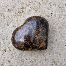 Stromatolite - coeur