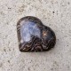 Stromatolite - coeur