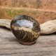 Stromatolite - oeuf