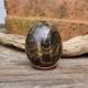 Stromatolite - oeuf