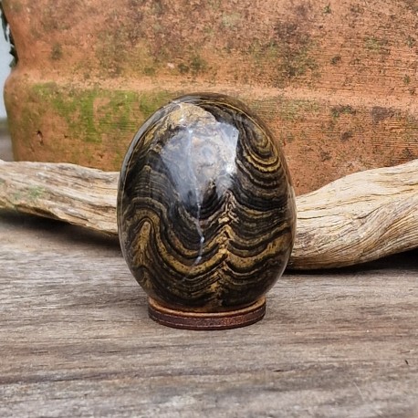 Stromatolite - oeuf