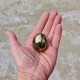 chalcopyrite - oeuf