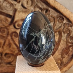 Obsidienne spider - oeuf