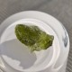 Moldavite
