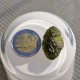 Moldavite