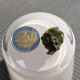 Moldavite