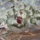 Labradorite - bloc à poser