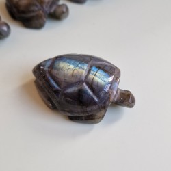 Labradorite - tortue