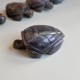 Labradorite - tortue