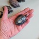 Labradorite - tortue