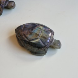 Labradorite - tortue