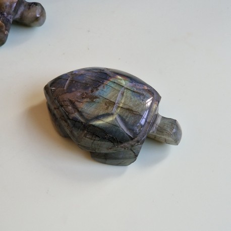 Labradorite - tortue