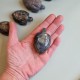 Labradorite - tortue