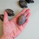 Labradorite - tortue
