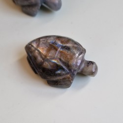 Labradorite - tortue