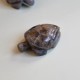 Labradorite - tortue