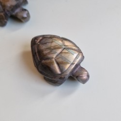 Labradorite - tortue