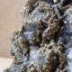 Fluorite et pyrite