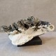 Pyrite, sphalérite et calcite