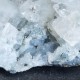 Apophyllite - druse