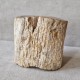 Bois fossile - tronc