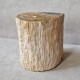 Bois fossile - tronc
