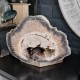Bois fossile - tronc