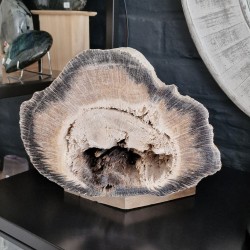 Bois fossile - tronc