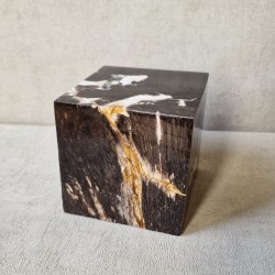 Bois fossile - cube