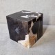 Bois fossile - cube