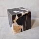 Bois fossile - cube