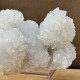Apophyllite - druse