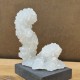 Apophyllite - stalactite