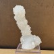 Apophyllite - stalactite