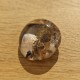 Quartz scénique - lodolite