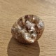 Quartz scénique - lodolite
