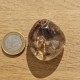 Quartz scénique - lodolite